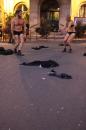 Les oignons 14 * 5184 x 3456 * (7.12MB)